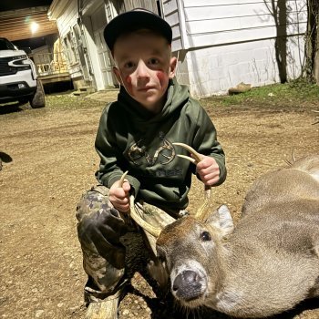 Deer Photos &raquo; Deer 2023-2024