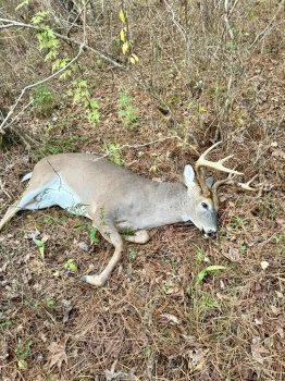 Kyle Cherry took this 227 lb hoss buck