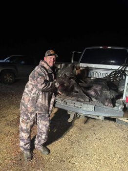 Timmy Sexton with two big hogs.