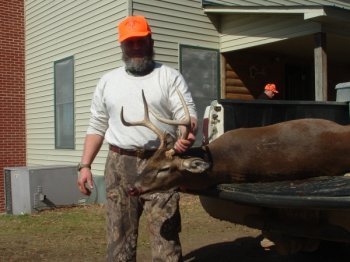 Deer Past