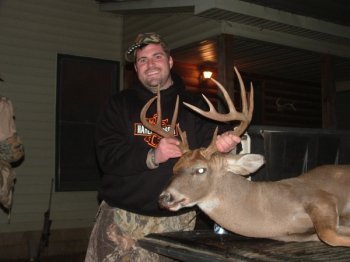 Deer Past