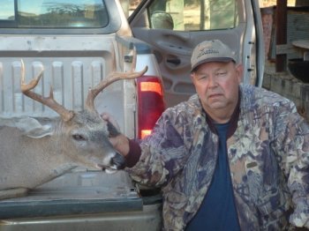 Deer Past