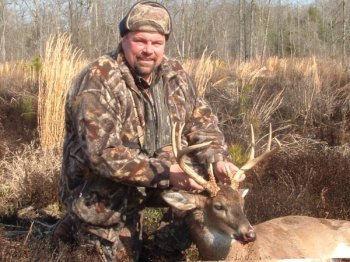 Deer Past