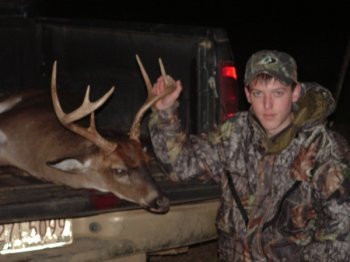 Deer Past