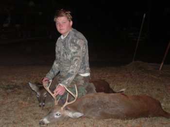 Deer Past