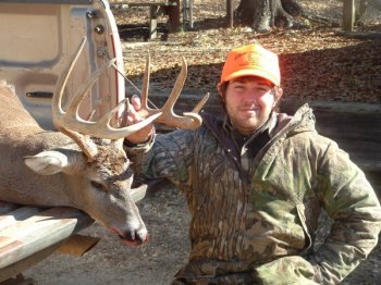 Deer Past