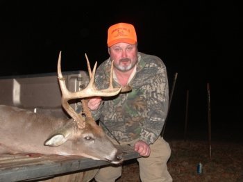 Deer Past