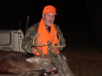 Deer Past