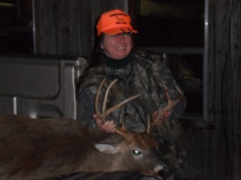 Deer Past