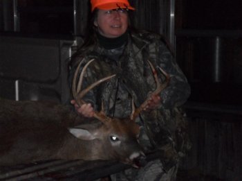 Deer Past