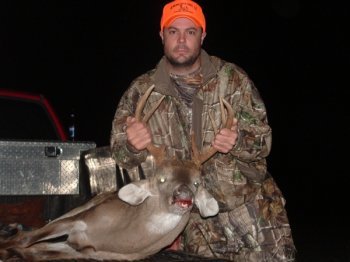 Deer Past