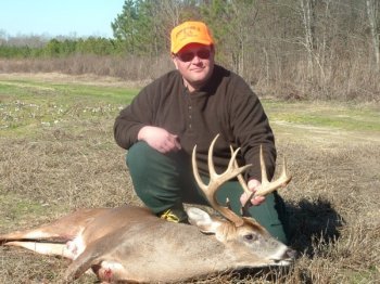 Deer Past