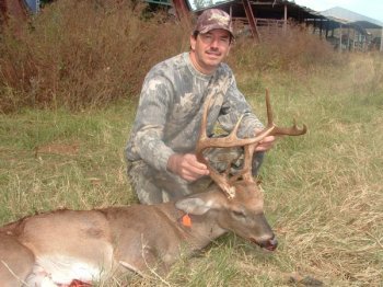 Deer Past