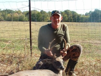 Deer Past