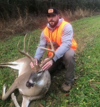Deer Past