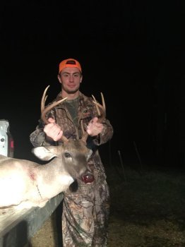 Deer Past