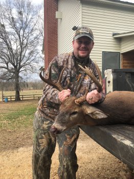 Deer Past