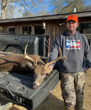 Deer Past