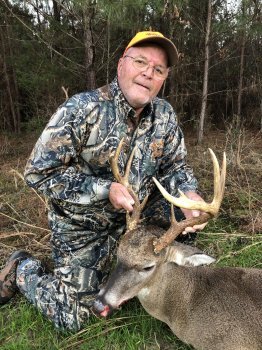 Deer Past