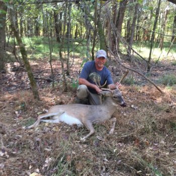 Deer Past