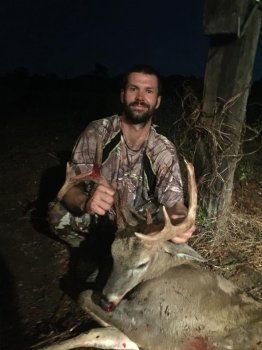 Deer Past