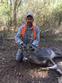 Deer Past