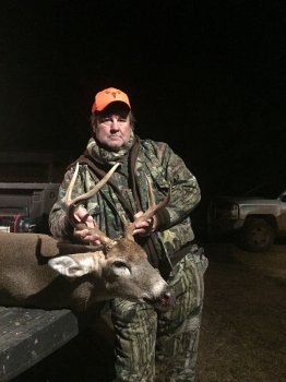 Deer Past