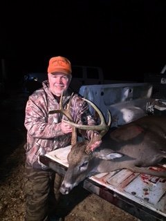 Deer Past