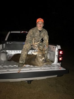 Deer Past