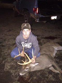 Deer Past