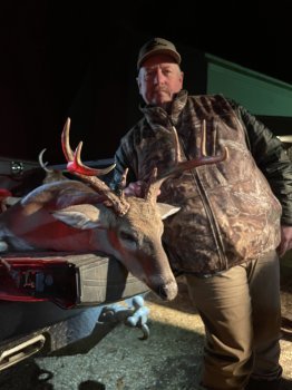 Deer Past