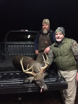 Deer Past