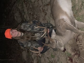 Deer Past