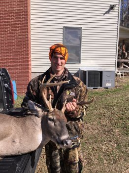 Deer Past