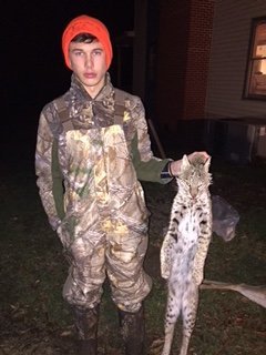 Deer Past