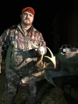 Deer Past