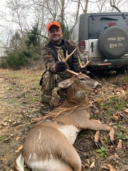 Deer Past