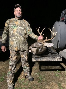 Deer Past