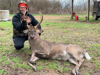 Deer Past
