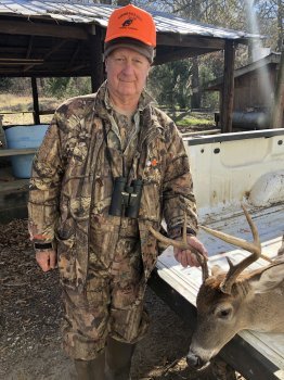 Deer Past