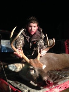Deer Past