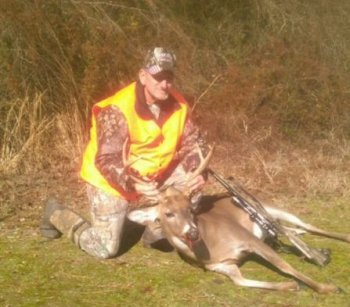Deer Past
