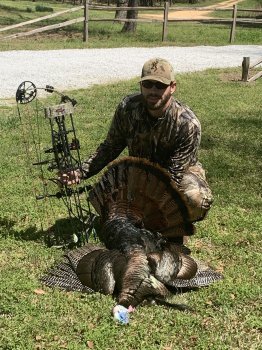 Deer Past