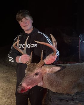 Deer Past