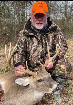 Deer Past