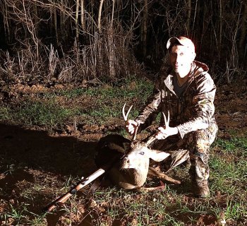 Deer Past