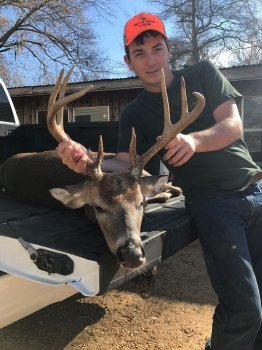 Deer Past