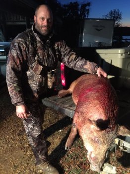 Hogs and Other