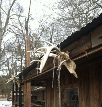 The Lodge