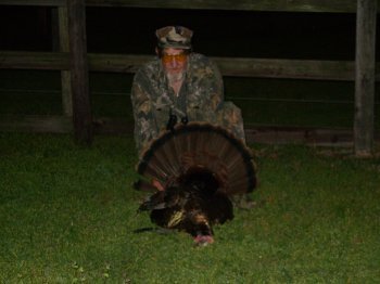 Turkey Photos